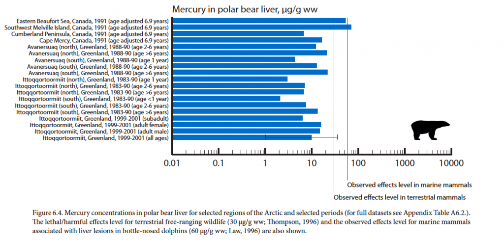 Figure from AMAP 2011 Mercury Report: Hg in polar bear liver
